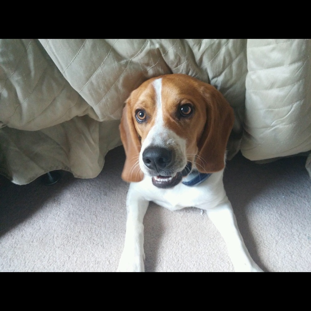 Meet your Posher, Lori